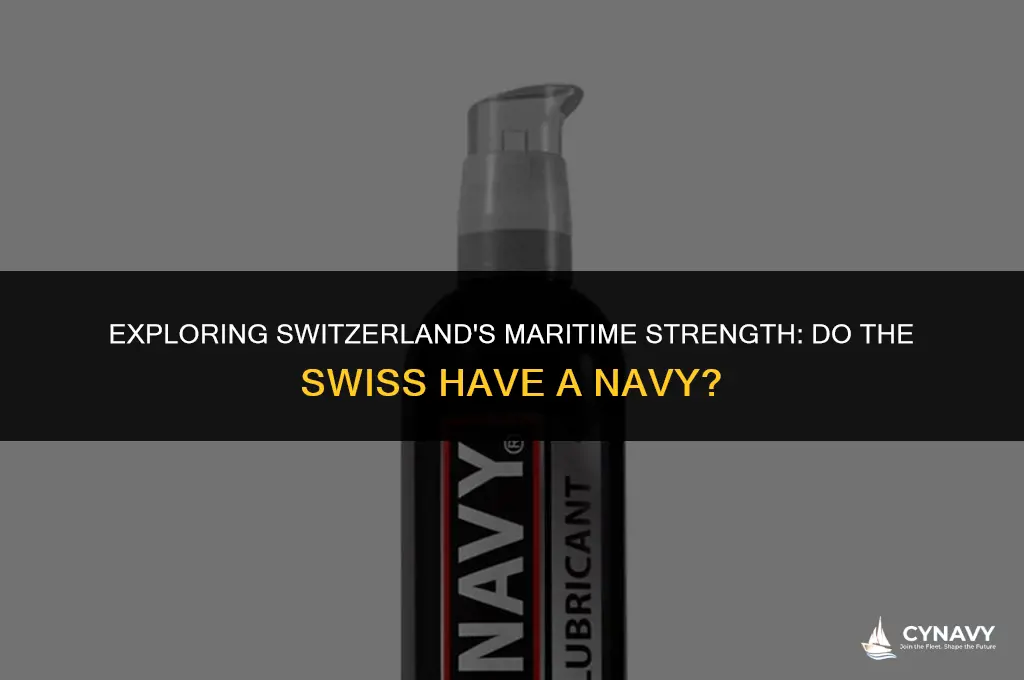 do the swiss have a navy