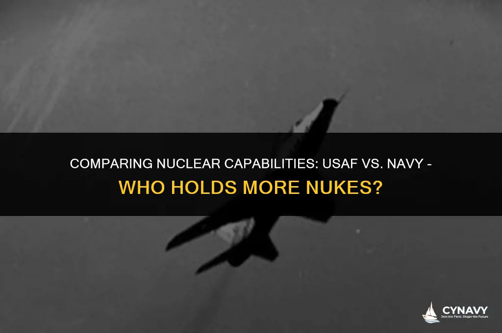 do the usaf have more nukes than the navy