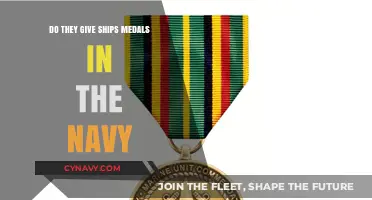 Honoring the High Seas: Do Naval Ships Earn Medals?