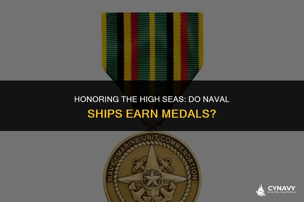 do they give ships medals in the navy