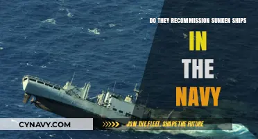 Exploring the Fate of Sunken Ships: Navy's Recommissioning Process