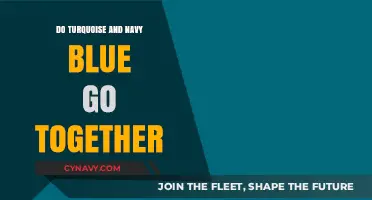 Harmonious Hues: Turquoise and Navy Blue in Perfect Pairing