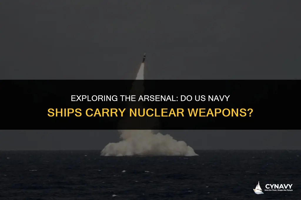 do us navy ships carry nuclear weapons