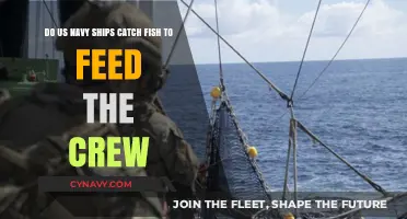 Sustainable Seas: How US Navy Ships Catch Fish for Crew Nutrition