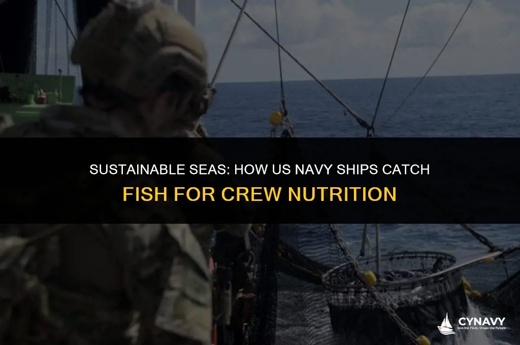 do us navy ships catch fish to feed the crew