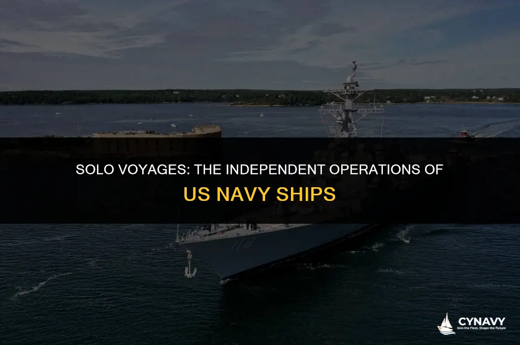 do us navy ships operate alone