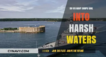 Braving the Elements: US Navy Ships Navigate Treacherous Seas
