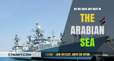 Exploring Naval Presence in the Arabian Sea: A Comprehensive Overview