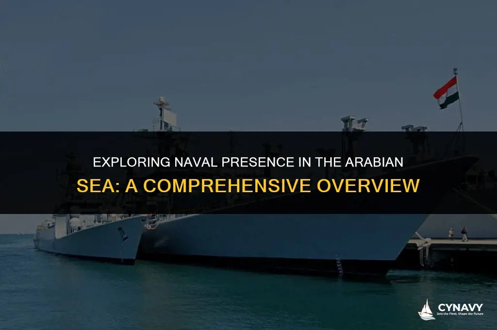 do we have any navy in the arabian sea