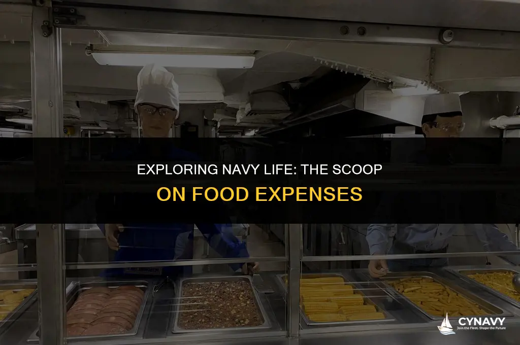 do yo u have to pay for food in navy
