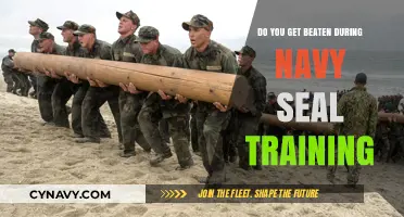 Navy SEAL Training: Unveiling the Truth About Physical Punishment