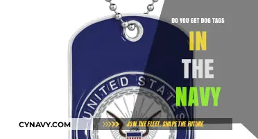 Do Navy Sailors Receive Dog Tags? Understanding Military Identification