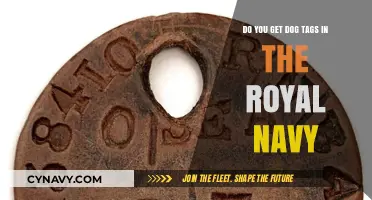 Royal Navy Dog Tags: Do Sailors Receive Identification Tags?