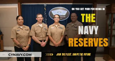Navy Reserves Pay: Understanding Compensation for Part-Time Military Service
