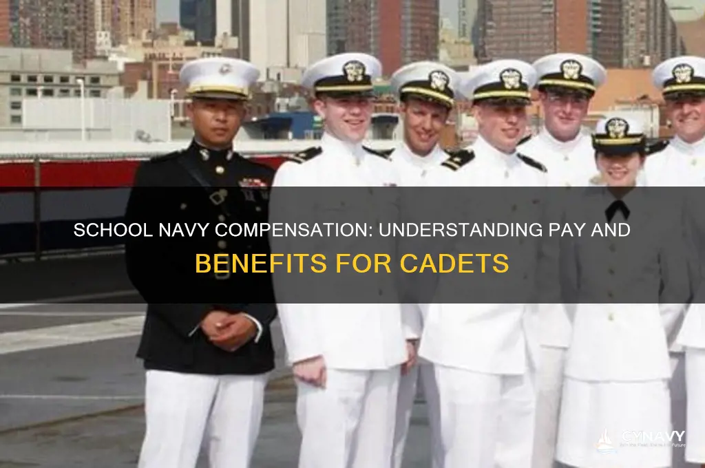 do you get paid in a school navy