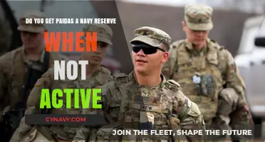 Navy Reserve Pay: Understanding Compensation When Not on Active Duty