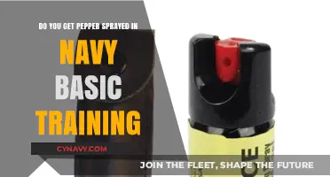 Pepper Spray in Navy Basic Training: Fact or Fiction?