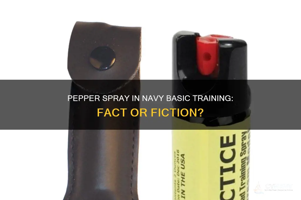 do you get pepper sprayed in navy basic training