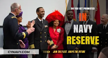 Navy Reserve Promotions: How to Climb the Ranks Part-Time