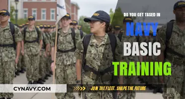 Navy Basic Training: The Truth About Taser Use and Safety