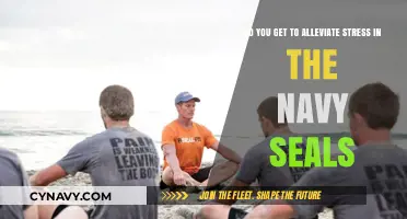 Alleviating Stress in the Navy SEALs: Strategies for Mental Resilience