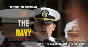 Navy Career Choices: How Much Control Do You Really Have?
