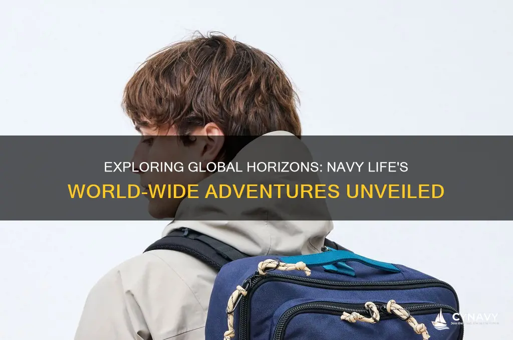 do you get to see the world in the navy