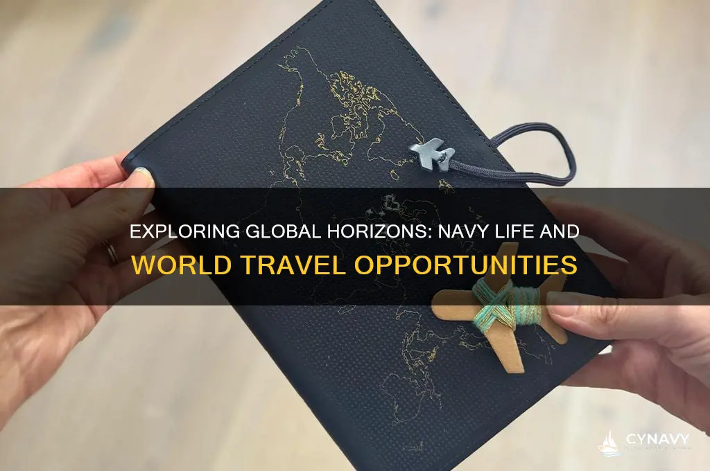 do you get to travel the world in the navy