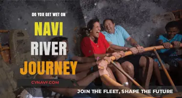 Does Navi River Journey Soak Guests? Exploring Disney's Watery Adventure