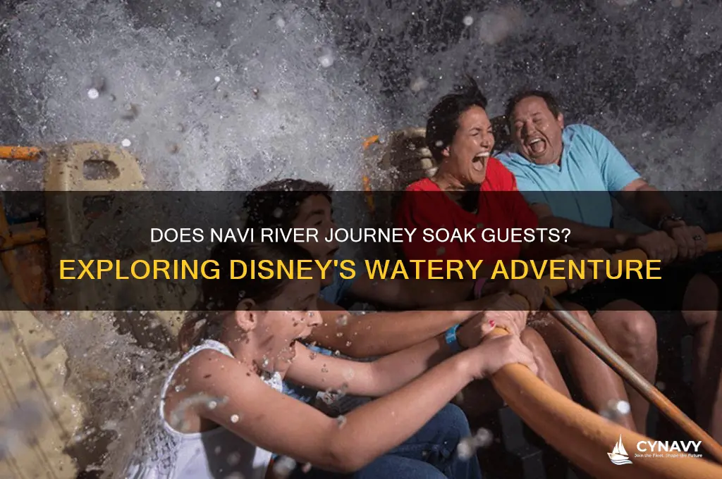 do you get wet on navi river journey