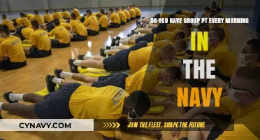 Morning Group PT in the Navy: What to Expect and How to Prepare