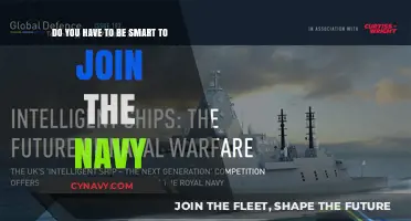 Intelligence in the Navy: What It Takes to Join