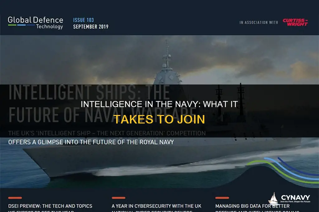 do you have to be smart to join the navy