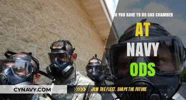 Exploring the Navy ODs Training: Gas Chamber Experience