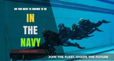 Exploring the Depths: Navy Service Beyond the Surface