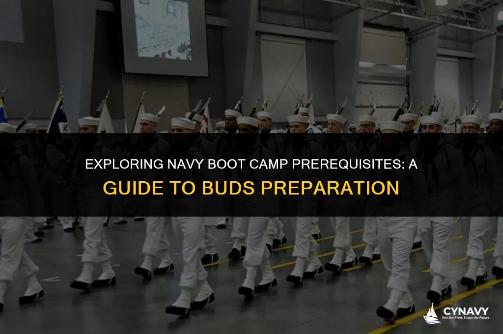 do you have to go to navy bootcamp before buds