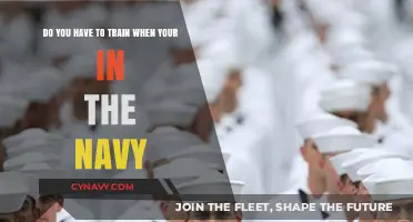 Serving in the Navy: Understanding Training Requirements and Opportunities