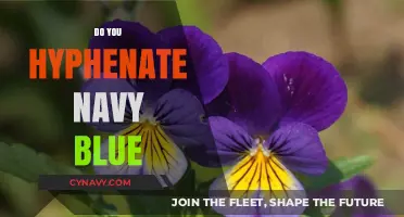 The Great Hyphen Debate: Navy Blue or Navy-Blue?