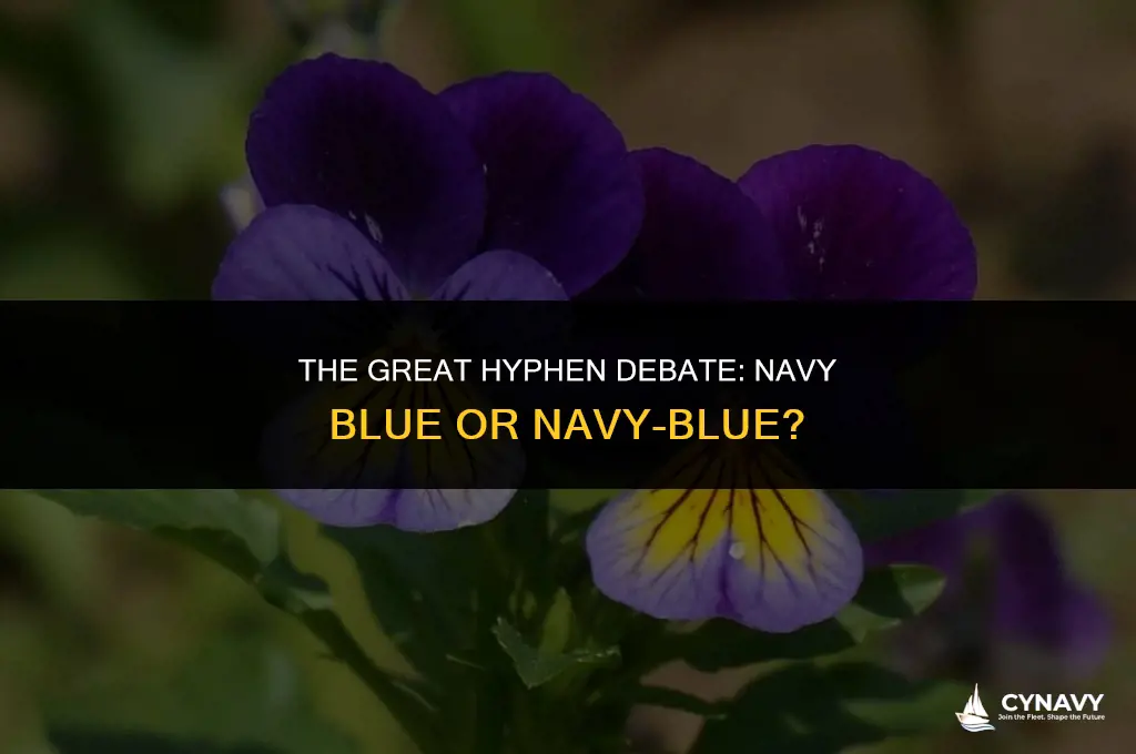 do you hyphenate navy blue