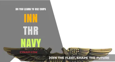Mastering the Skies: Your Guide to Earning Wings in the Navy