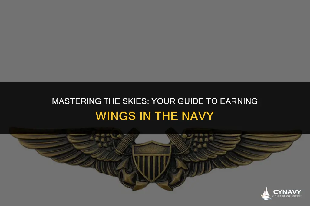 do you learn to use ehips inn thr navy
