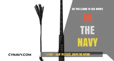 Mastering the Whip: An Insider's Guide to Navy Traditions