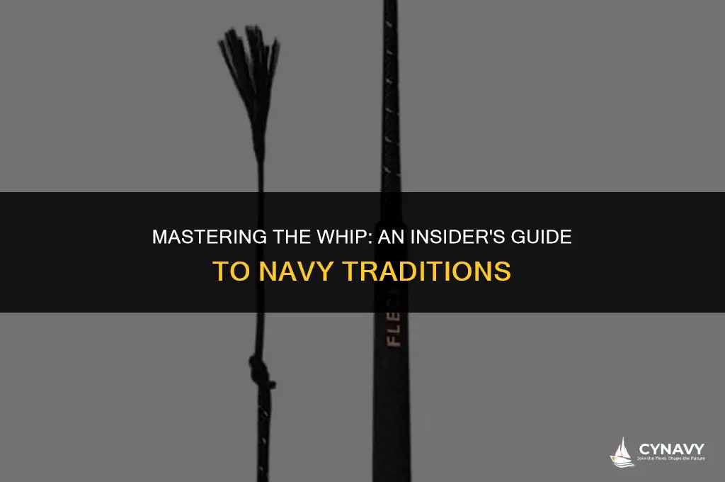 do you learn to use whips in the navy