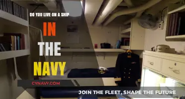 Life on the High Seas: A Glimpse into Navy Ship Living