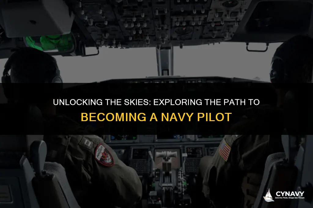 do you need a degree to be a navy pilot