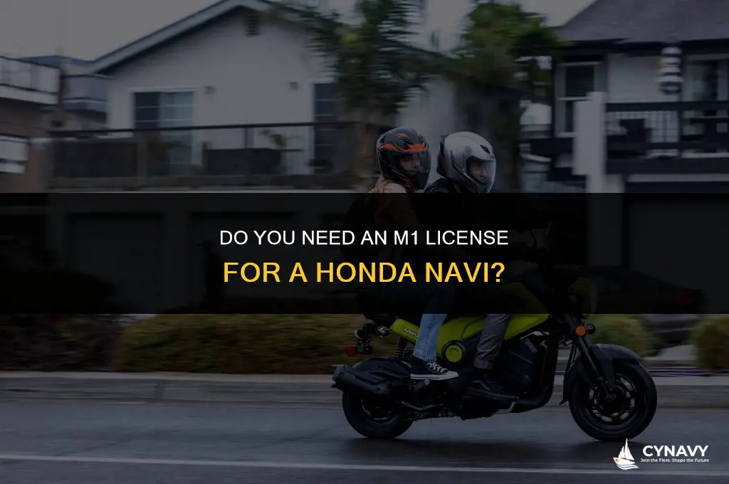 do you need a m1 license for a honda navi