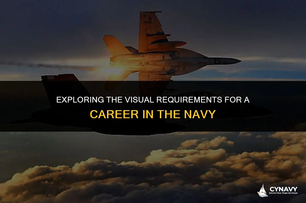do you need good vision to be in navy