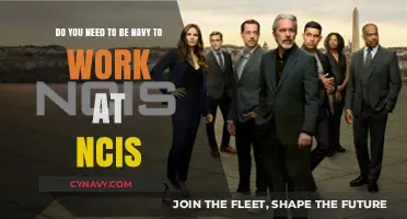 Exploring NCIS Careers: Navy Experience Required or Not?