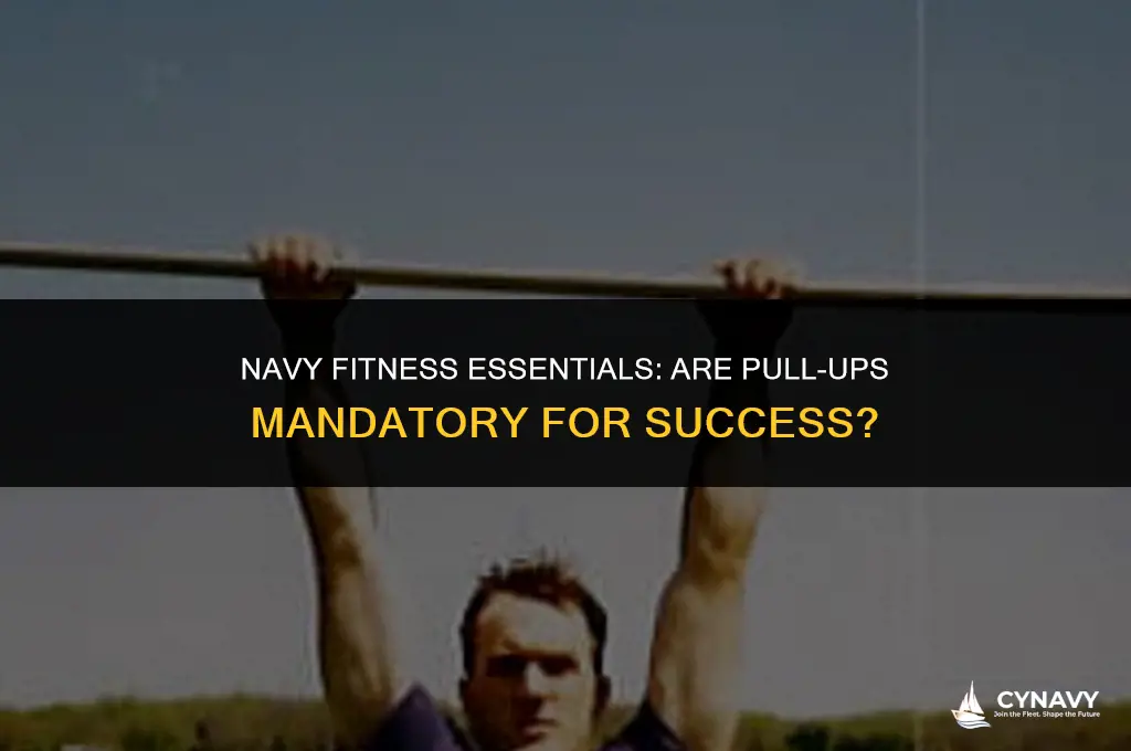 do you need to do pull up in the navy