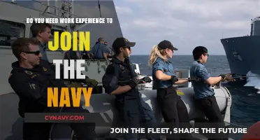 Exploring Navy Recruitment: The Role of Work Experience